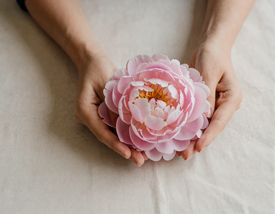 Two hands cradling a peony bloom symbolising the body-positive mission of NewLoveOnline